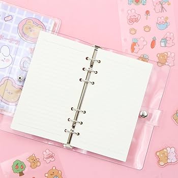 Sweet Rabbit Transparent Binder Diary(Pack of 2) Net Price Rs.145